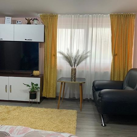 Garsoniera Madalina Apartment Sibiu Luaran gambar