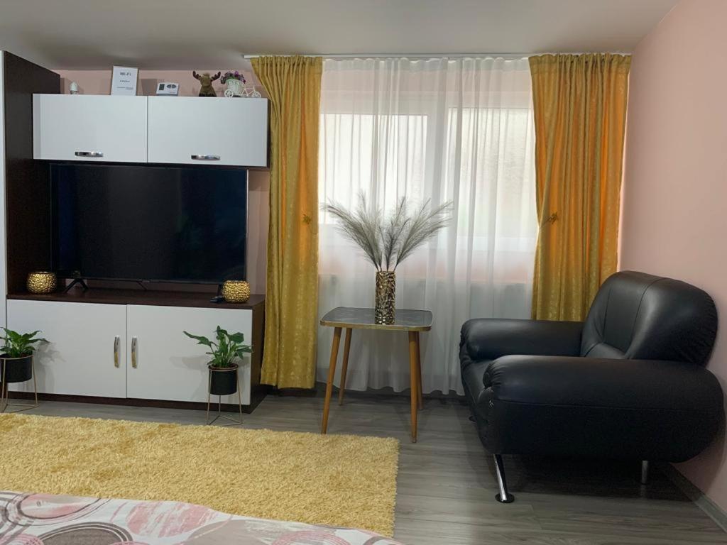 Garsoniera Madalina Apartment Sibiu Luaran gambar
