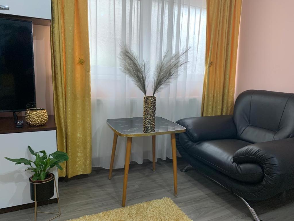 Garsoniera Madalina Apartment Sibiu Luaran gambar