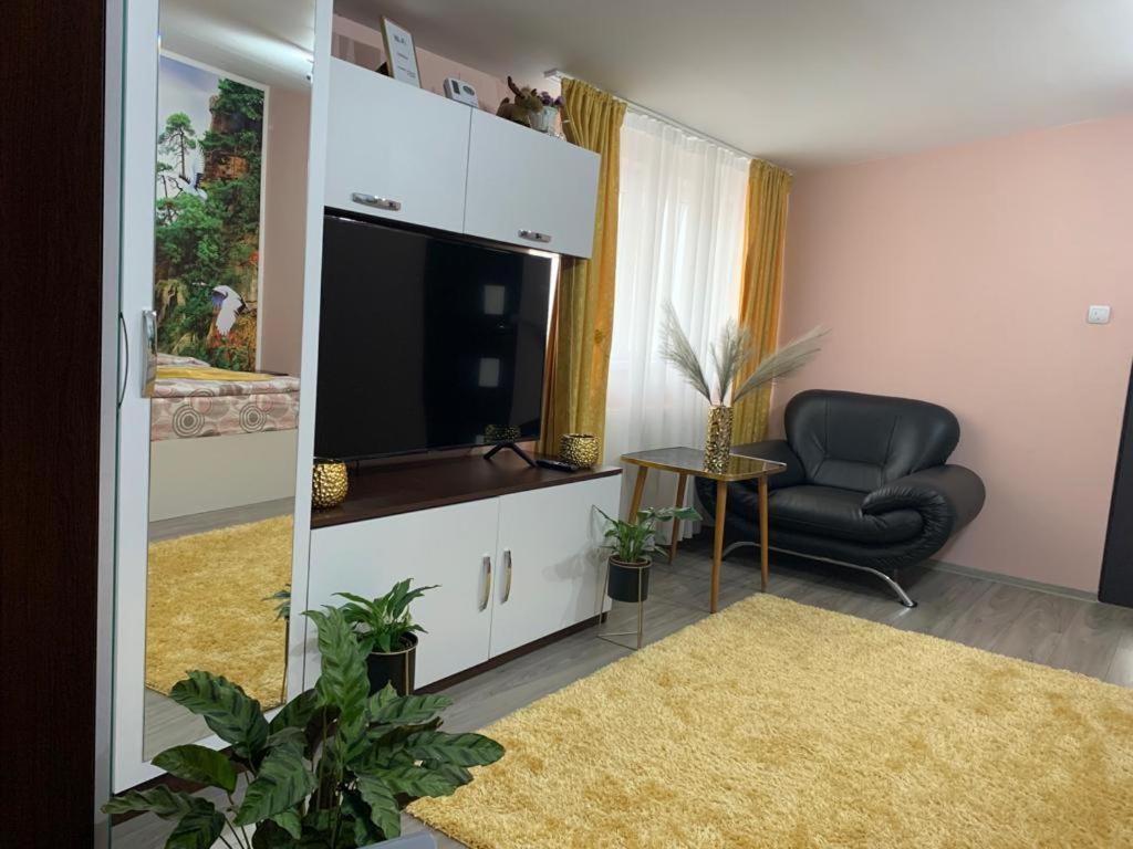 Garsoniera Madalina Apartment Sibiu Luaran gambar