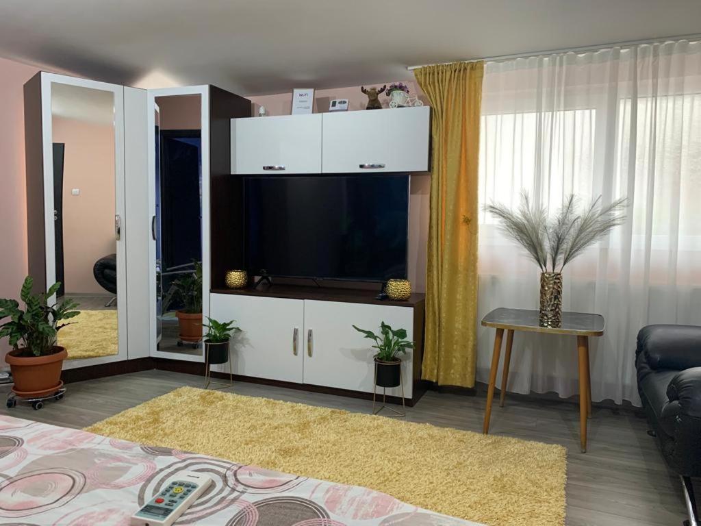 Garsoniera Madalina Apartment Sibiu Luaran gambar