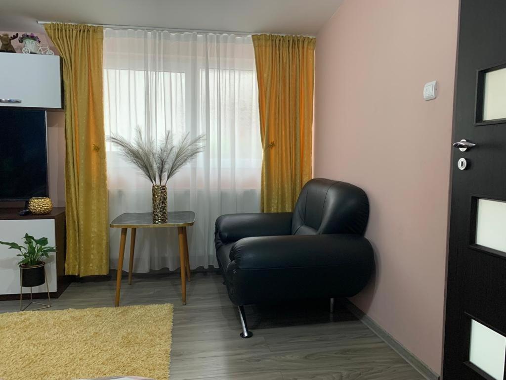 Garsoniera Madalina Apartment Sibiu Luaran gambar