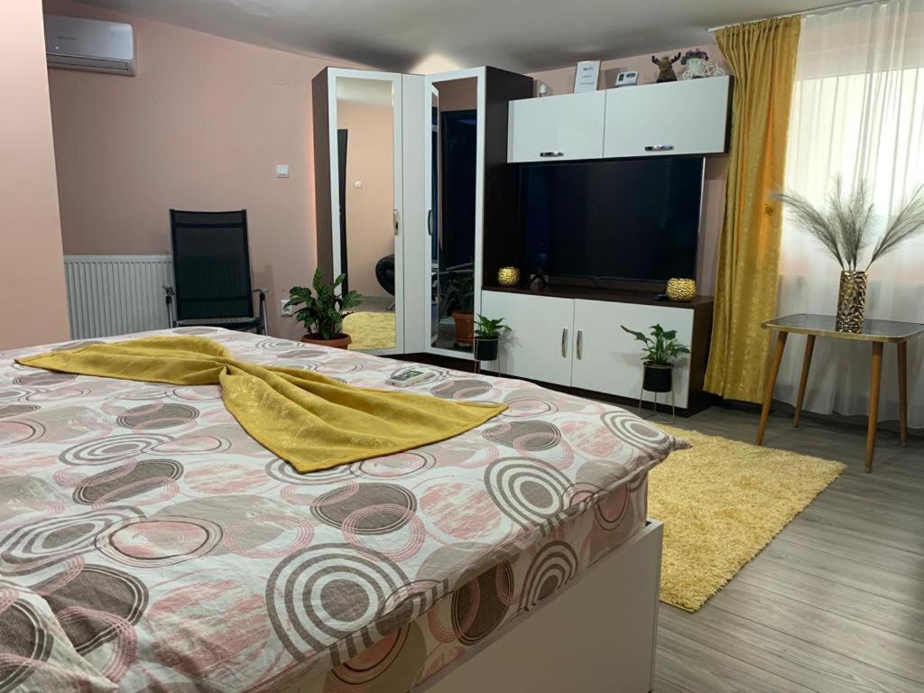 Garsoniera Madalina Apartment Sibiu Luaran gambar